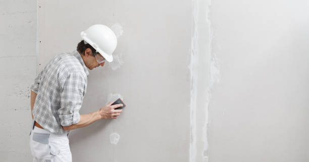 Best Mold Odor Removal Services  in Euharlee, GA