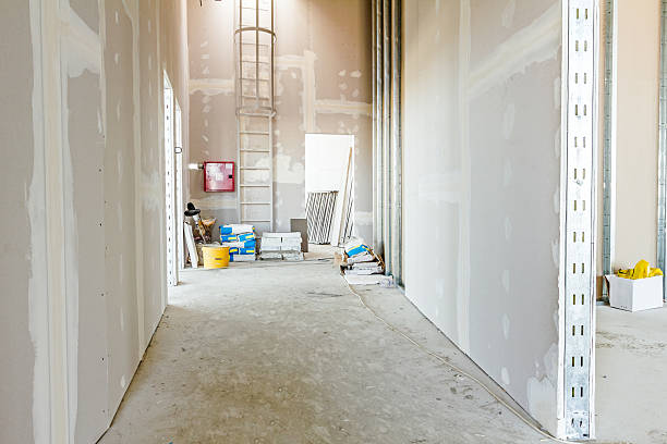 Reliable Euharlee, GA Mold Removal Solutions