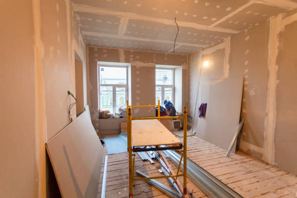 Best Basement Mold Removal  in Euharlee, GA